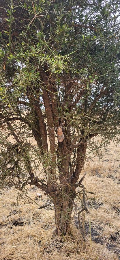 10 ac Land at Isinya - Inkiito Manoh - 17