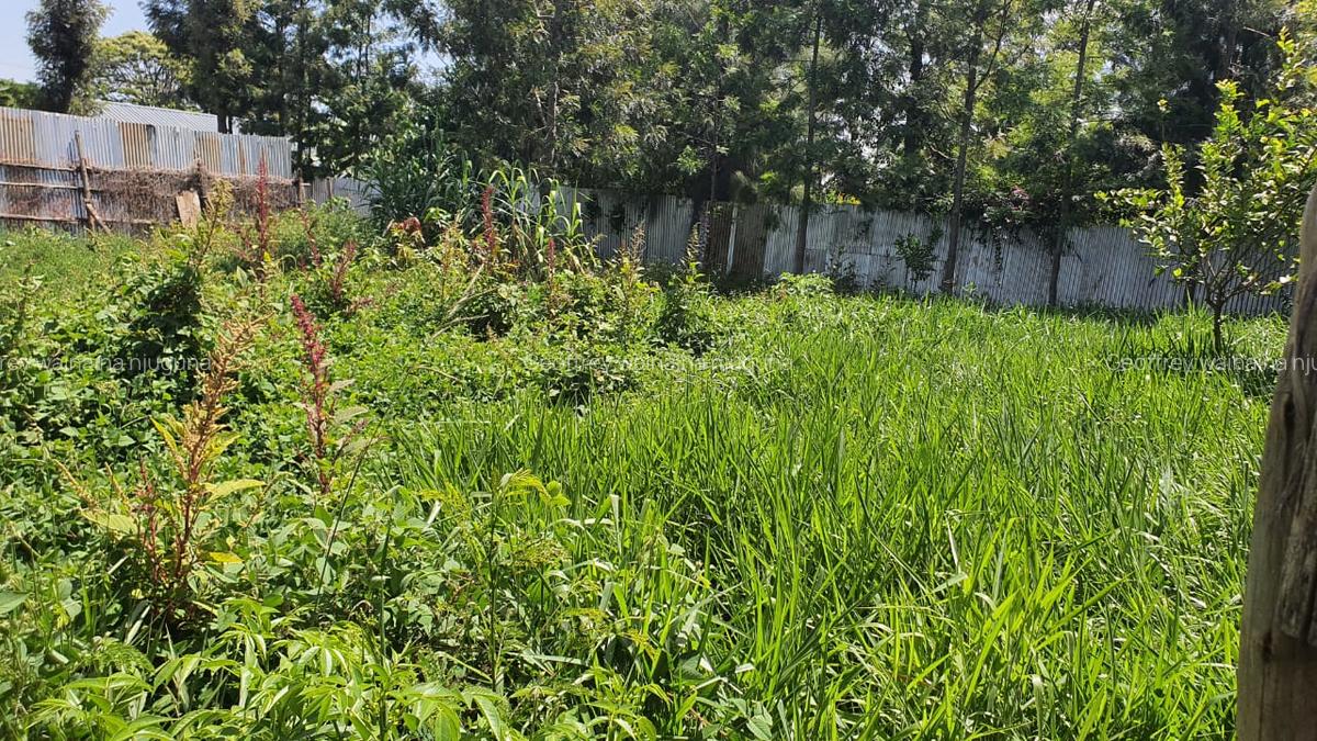 Land at Mugutha - 4