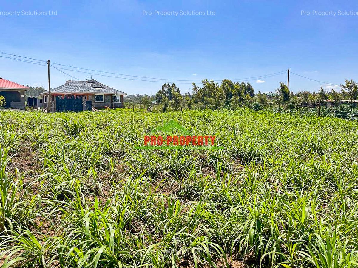 0.125 ac Residential Land at Kamangu - 16