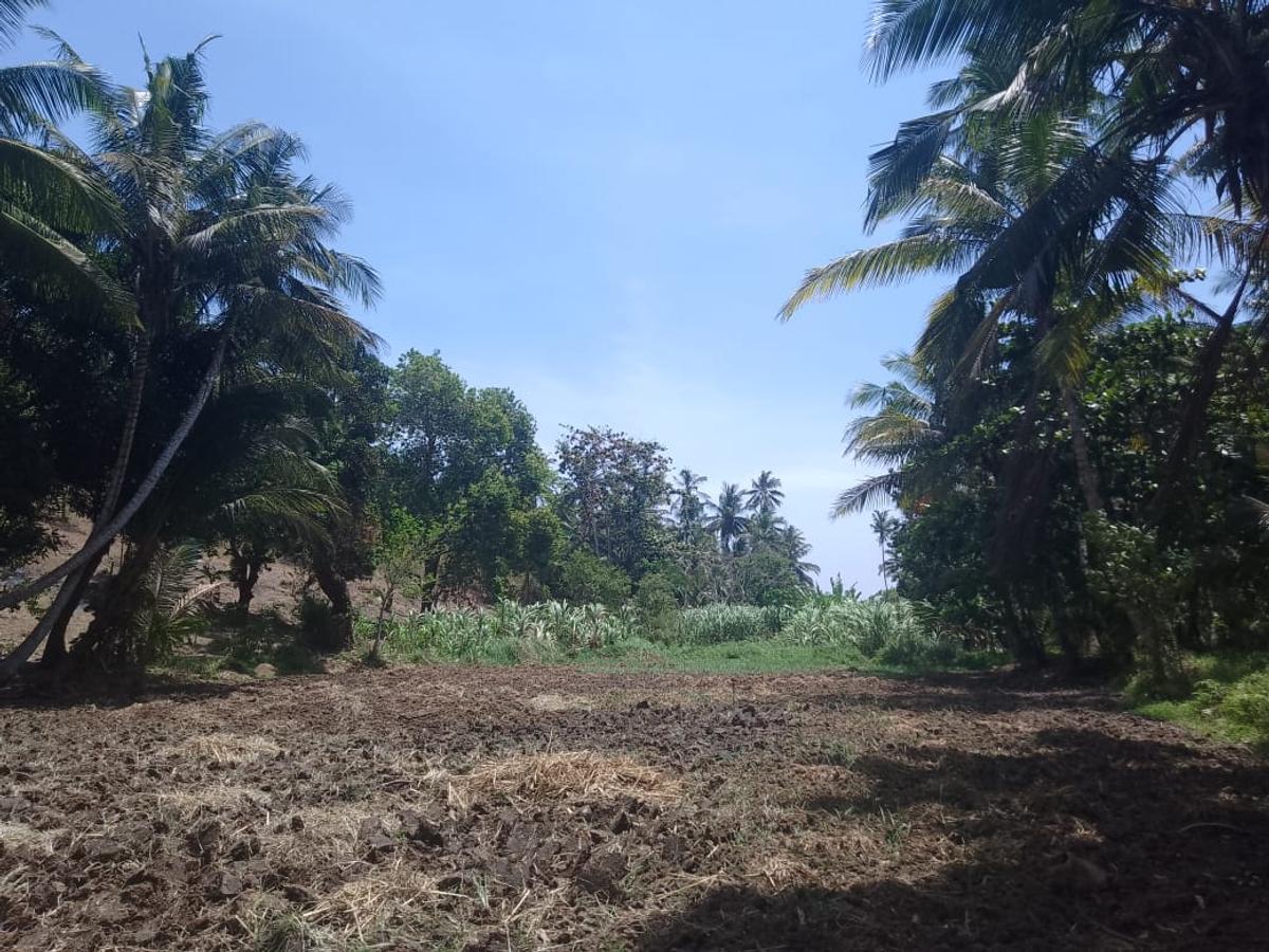 90 ac Land at Ridge - 4