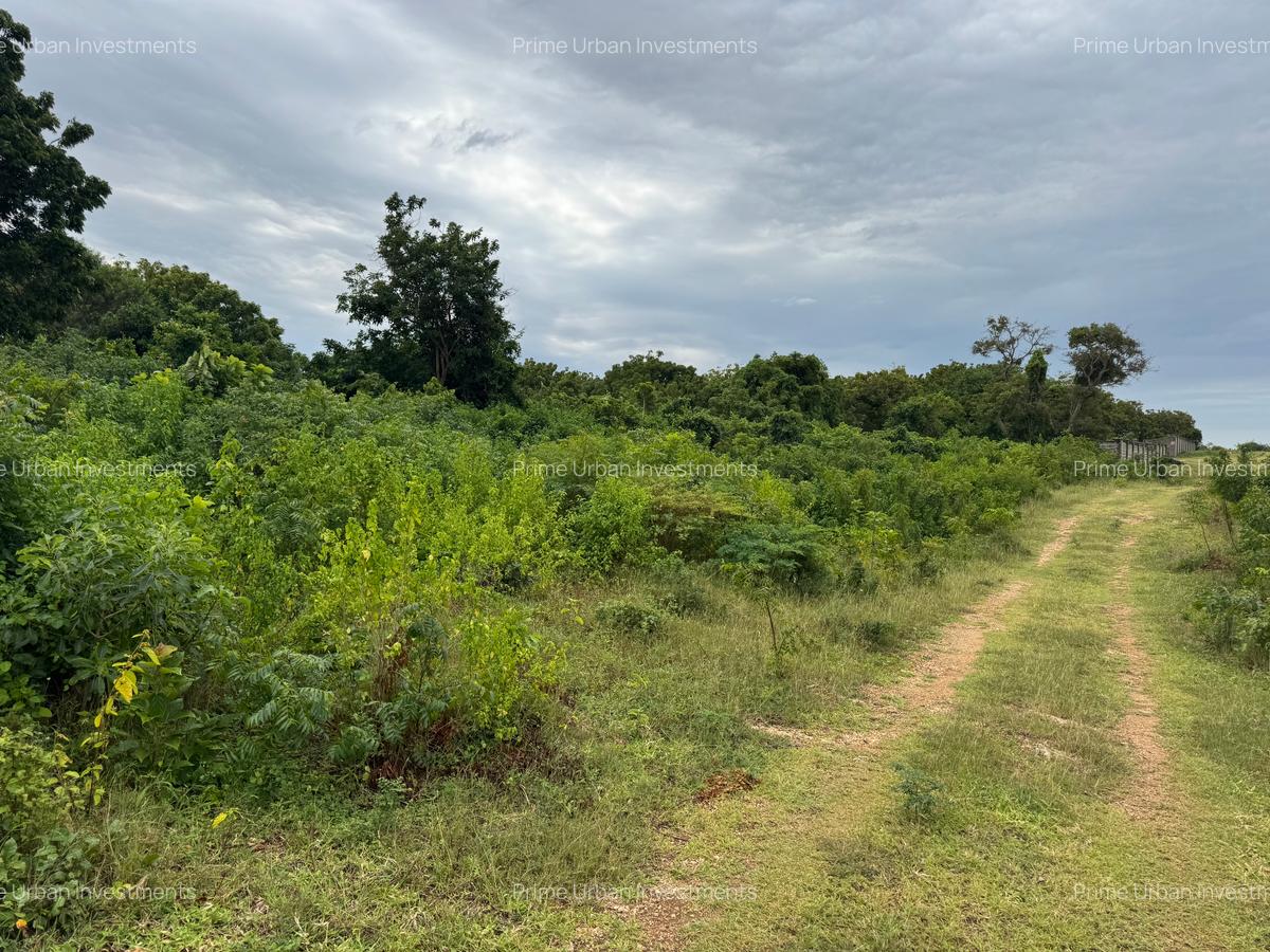 10 ac Land in Vipingo - 7