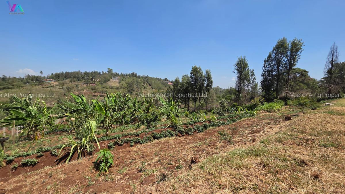 Land in Ngong - 4