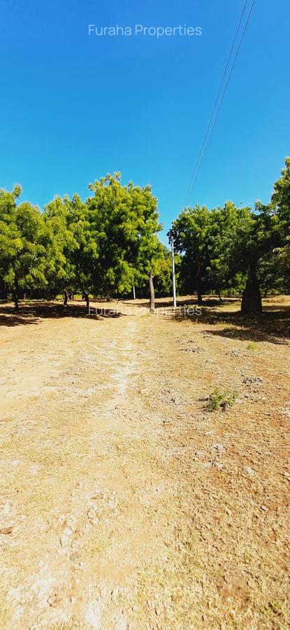 Land in Kikambala - 1