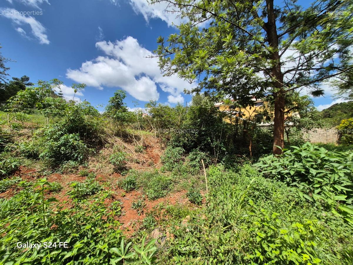 5,057 m² Residential Land at Mushroom Estate - 8