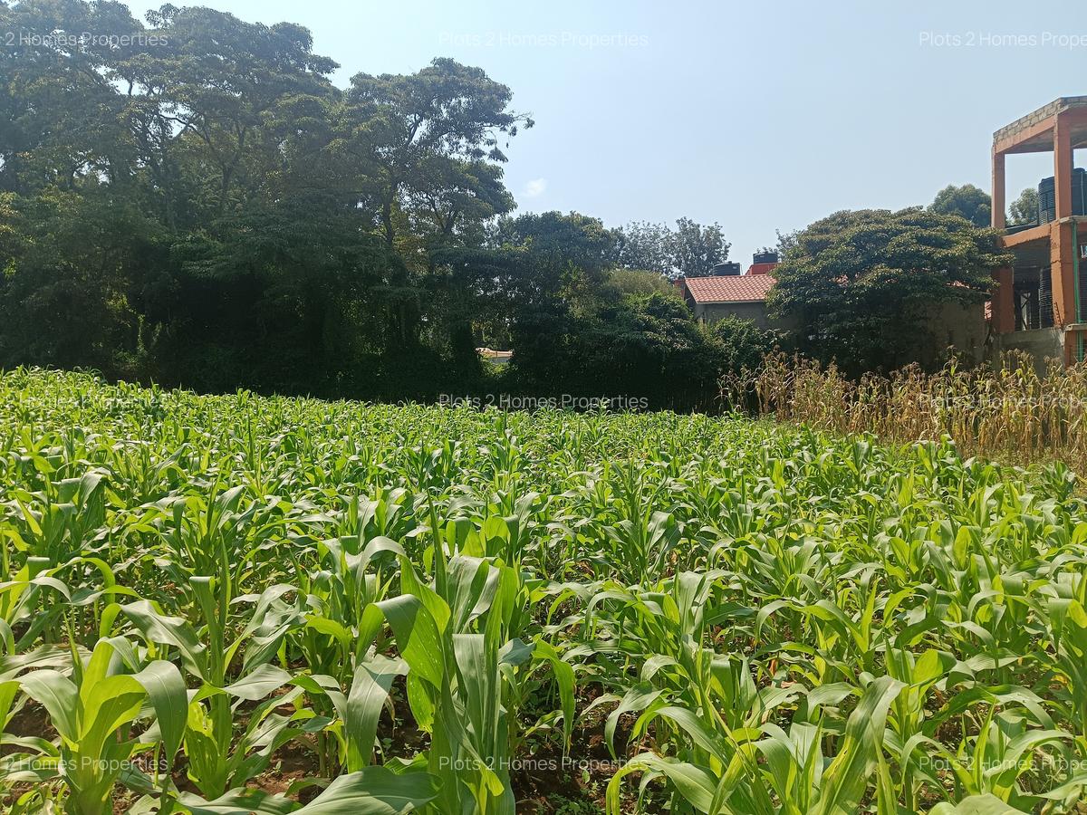 500 m² Residential Land at Gikambura - 5