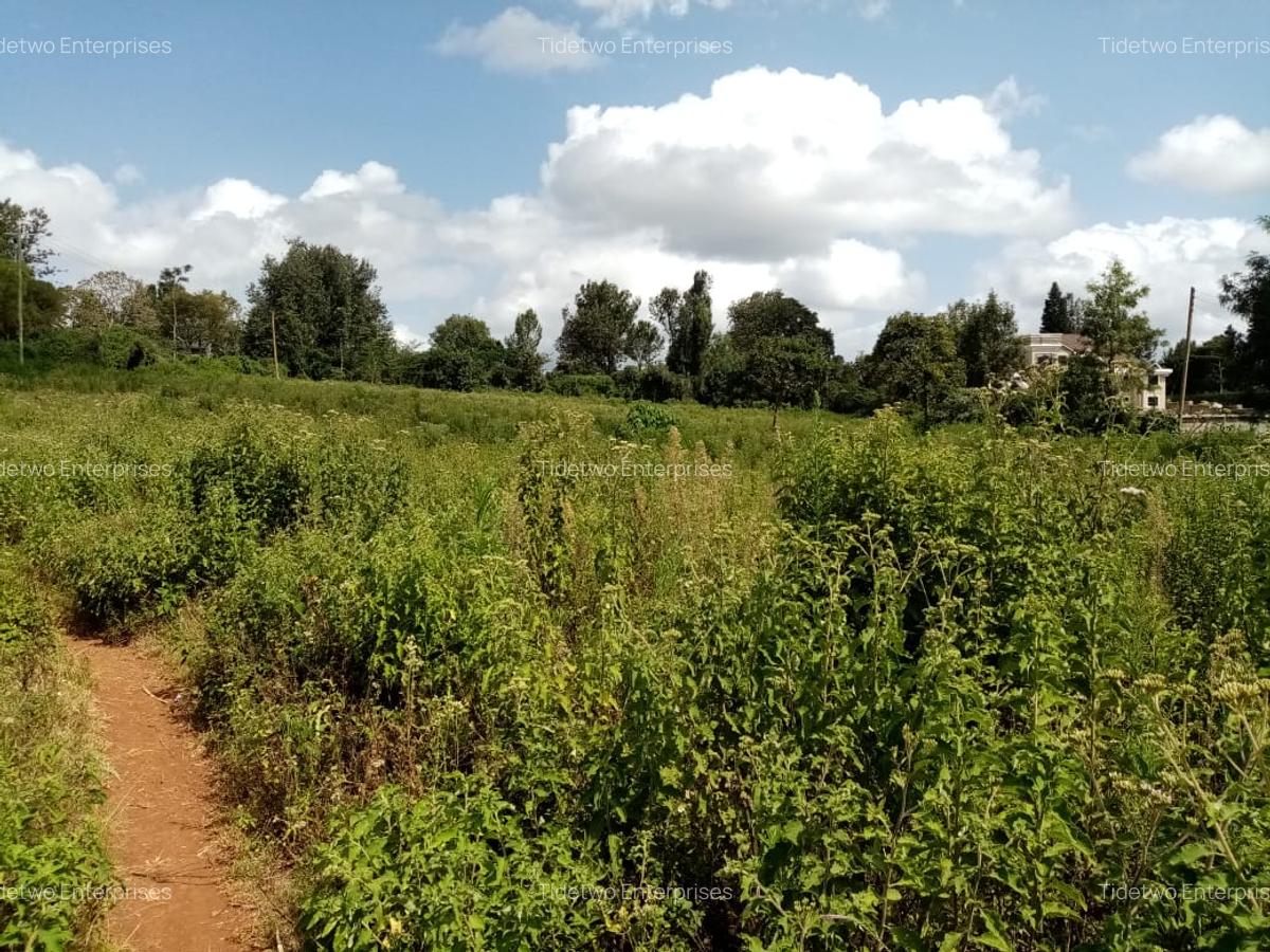 5 ac Land at Rhino Park Road - 1