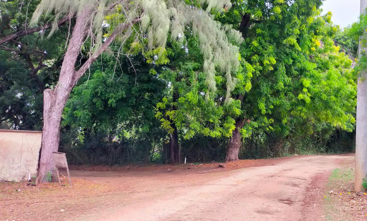 Land in Vipingo - 12