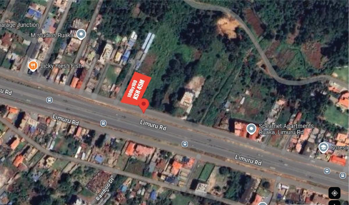 10,000 ft² Land at Ruaka Limuru Road Nairobi - 3