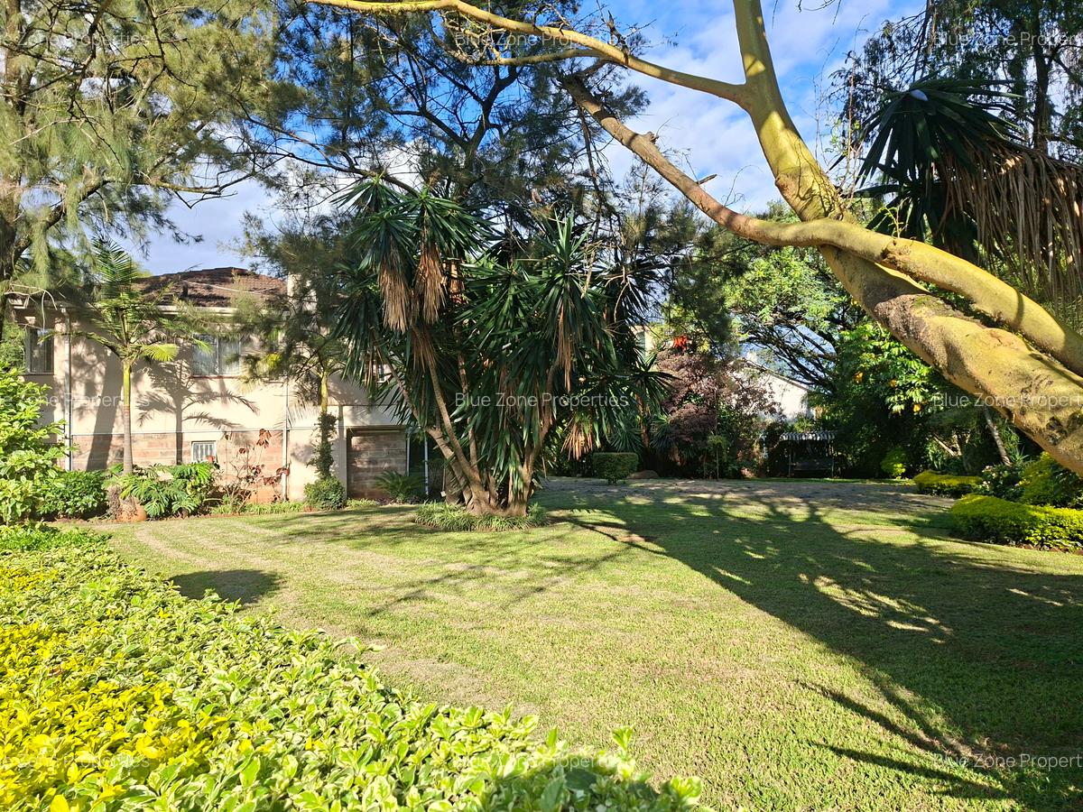 0.47 ft² Commercial Property with Backup Generator at Off Ngong Rd - 19