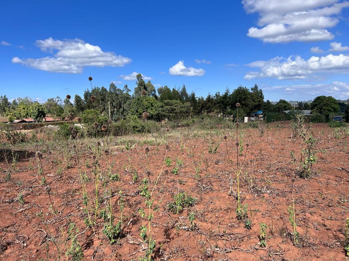 0.05 ha Residential Land at Kamangu - 9