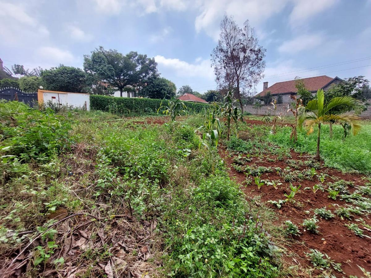 Residential Land at Pan African Insurance Avenue - 3