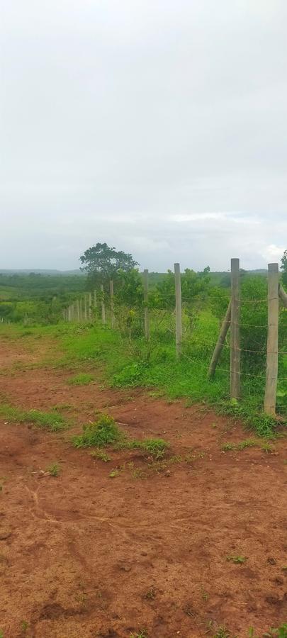 Land in Kilifi County - 11
