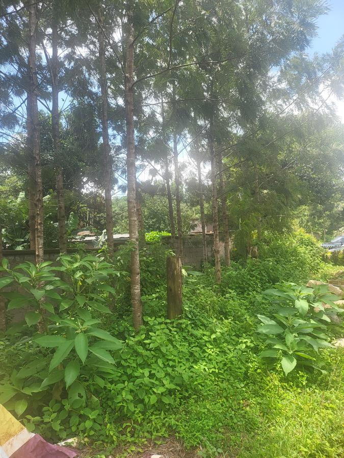 Land in Karen - 4