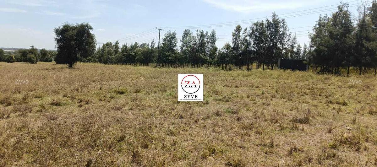 0.25 ac Land at Enkasiti - 11