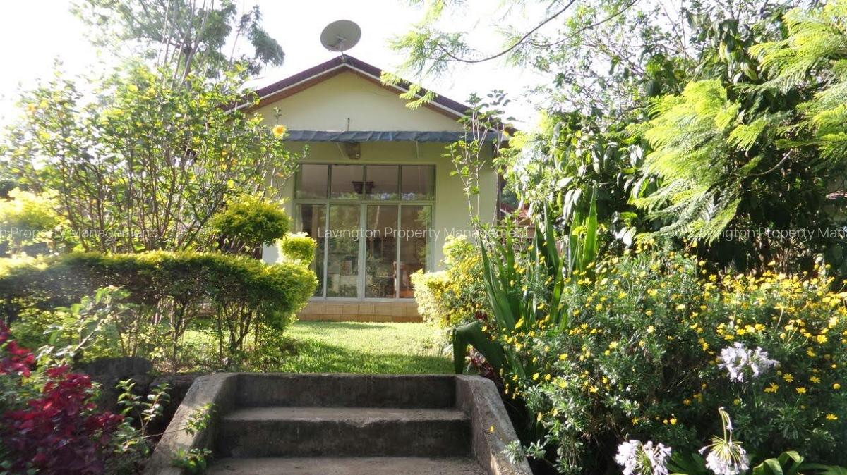 0.8 ft² Commercial Land at Majimzuri - 14