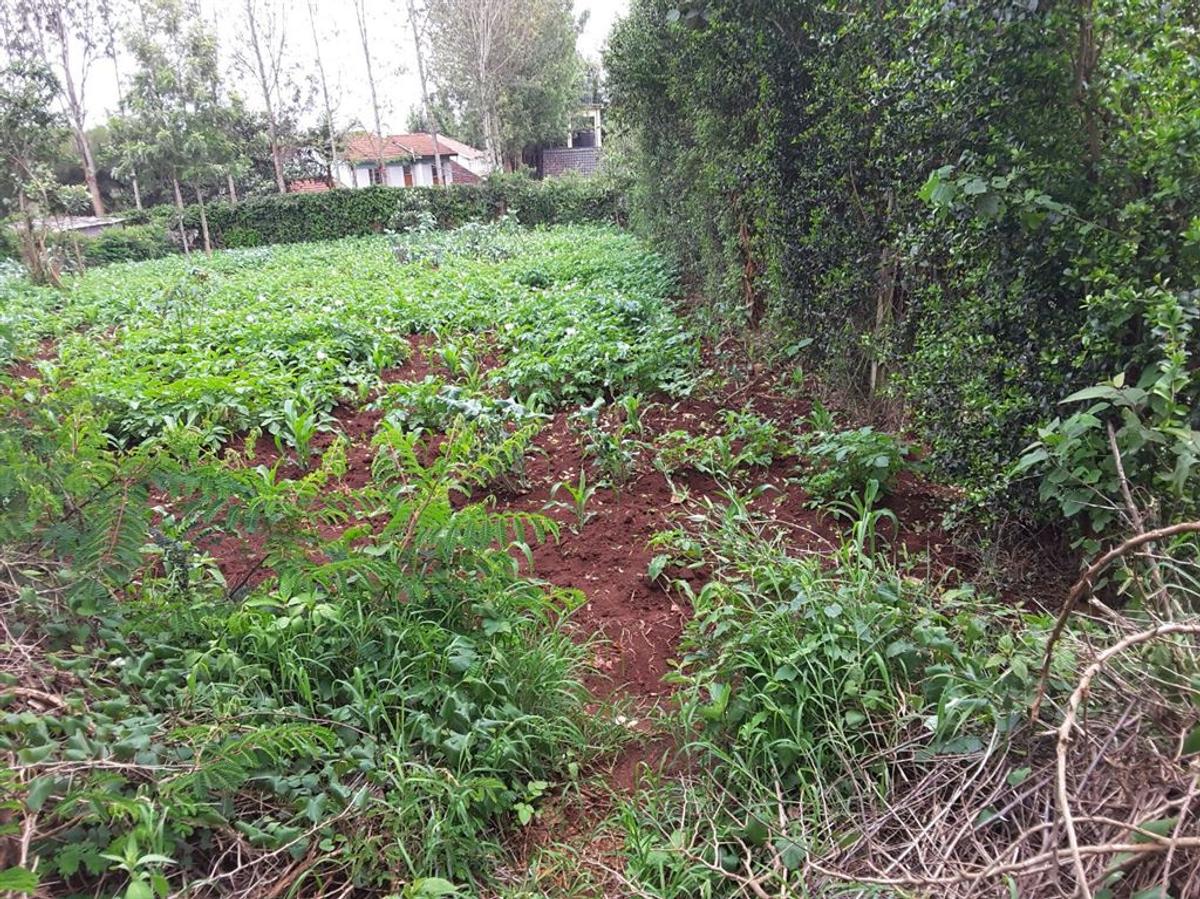 0.25 ac Residential Land in Ngong - 1