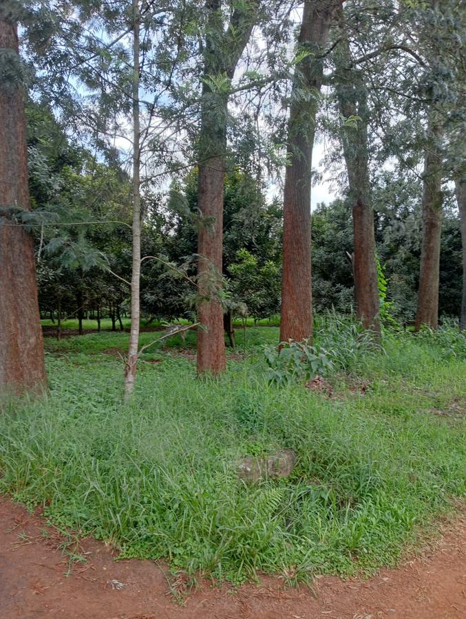 0.125 ac Residential Land at Thika Grove Chania-Opposite Blue Post Hotel - 13