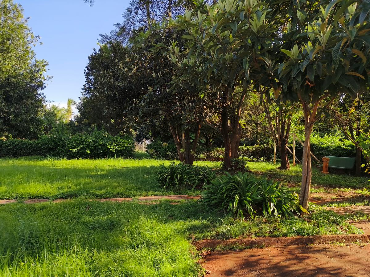 3 ac Land in Runda - 2