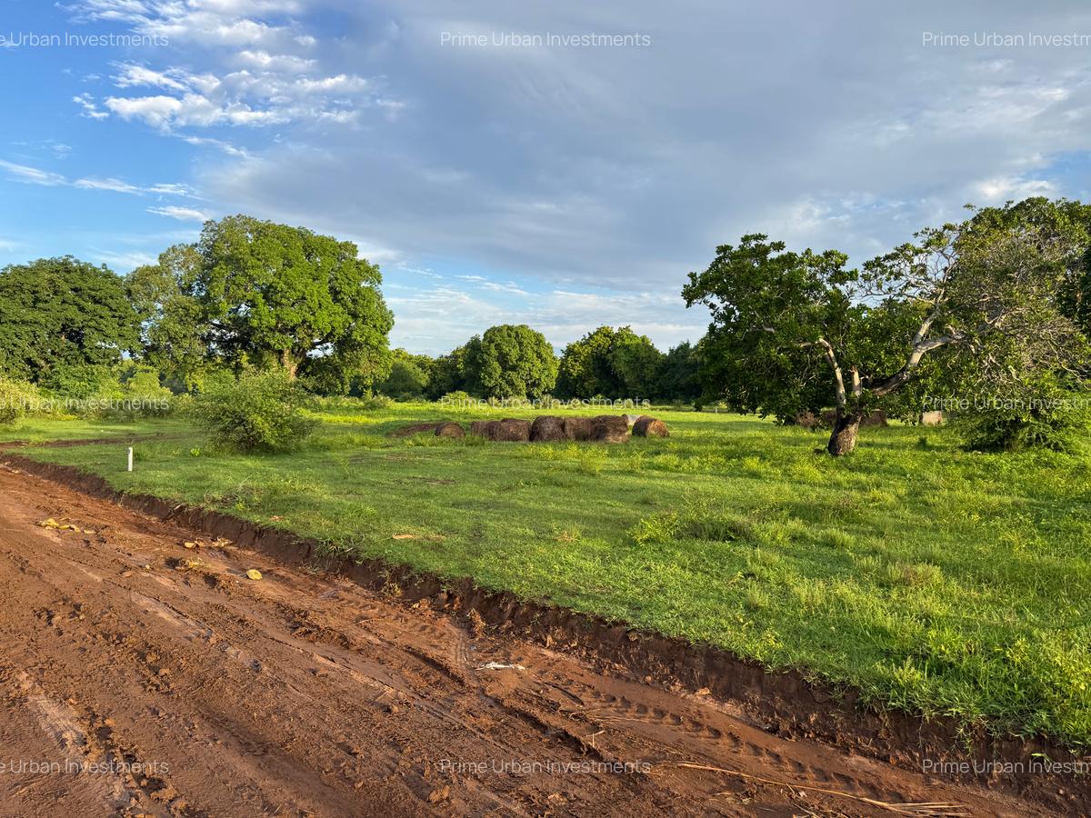 Residential Land in Vipingo - 16