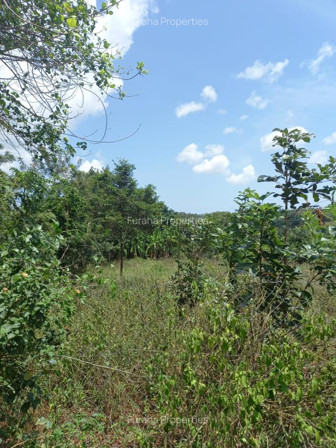 11 ac Residential Land at Ramisi - 4