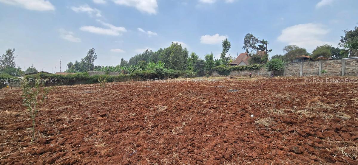 Land in Thindigua - 2