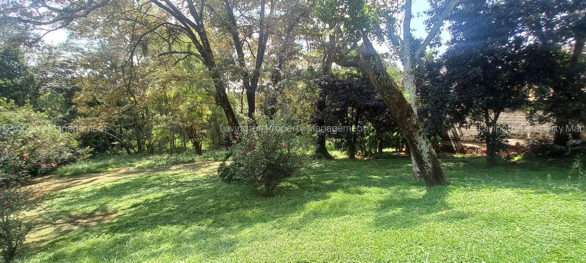 1.1 ac Land at Njumbi Road - 4