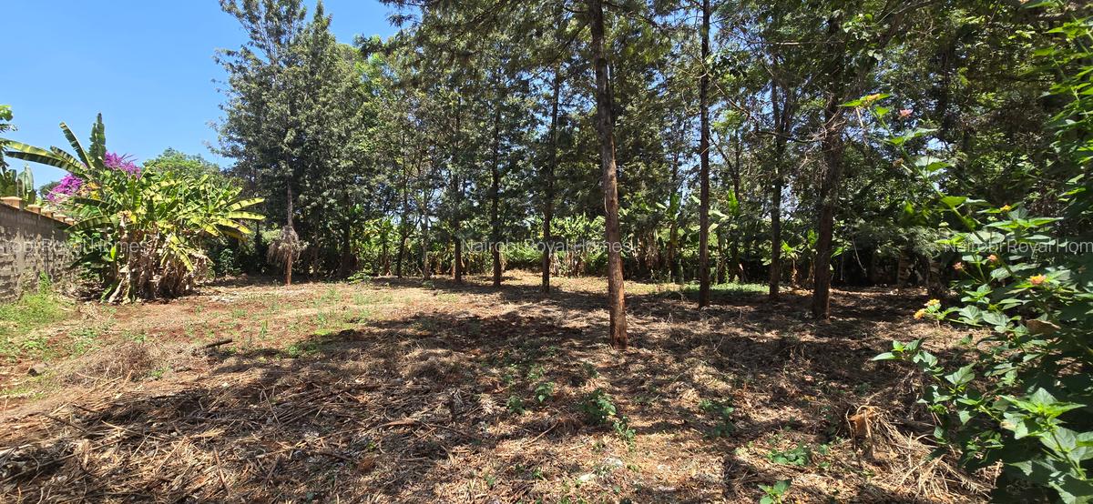 Residential Land at New Kitisuru - 1