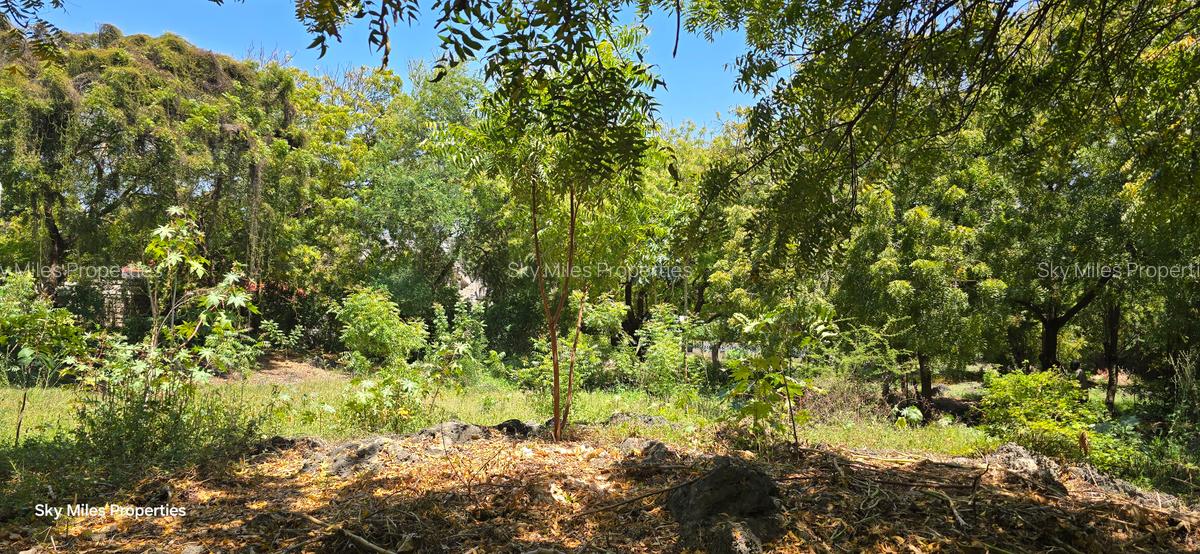 1 ac Land at Hemingways - 8