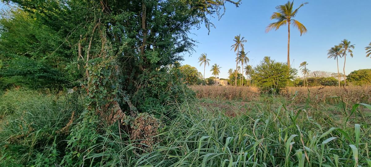 3 ac Land at Mtwapa - 2