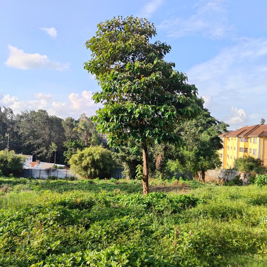 Residential Land at Riara Road - 18