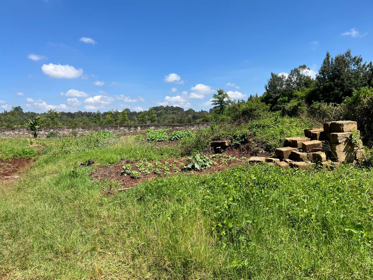 0.5 ac Land in Loresho - 7