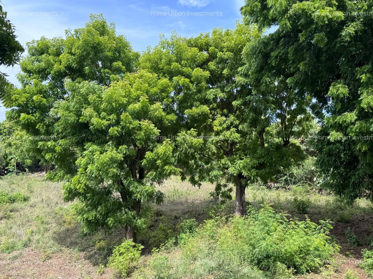 8,093.72 m² Land at Diani 3Rd Row Beach - 14