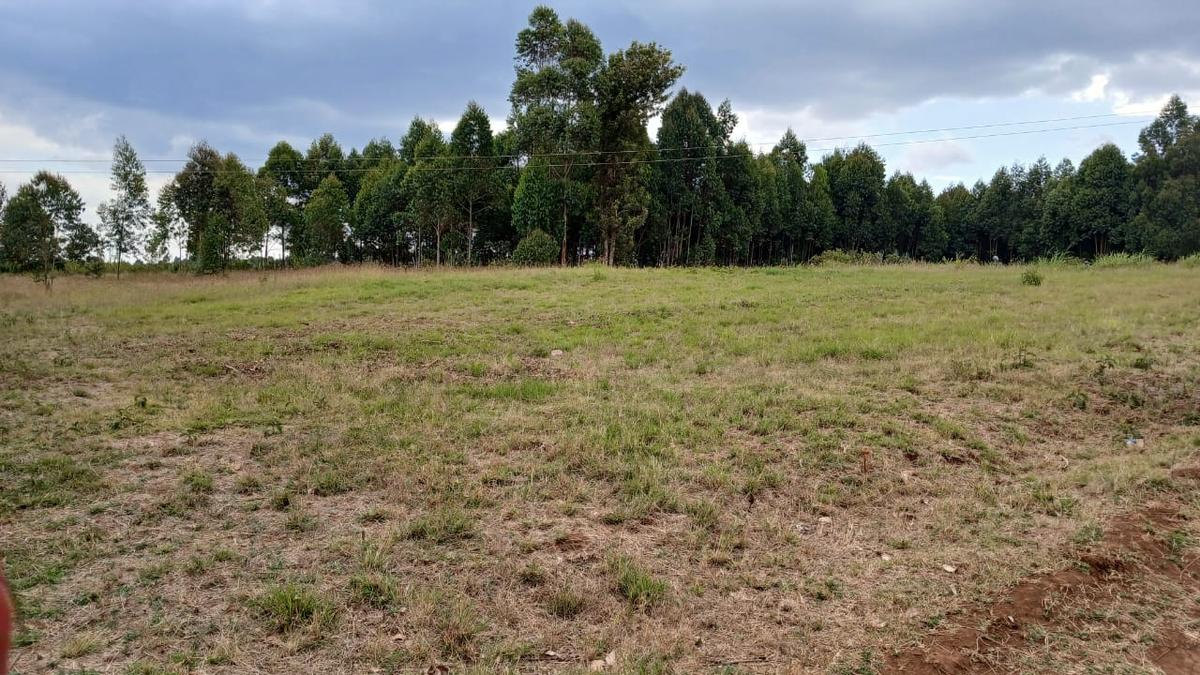 0.045 ha Residential Land at Kikuyu - 6