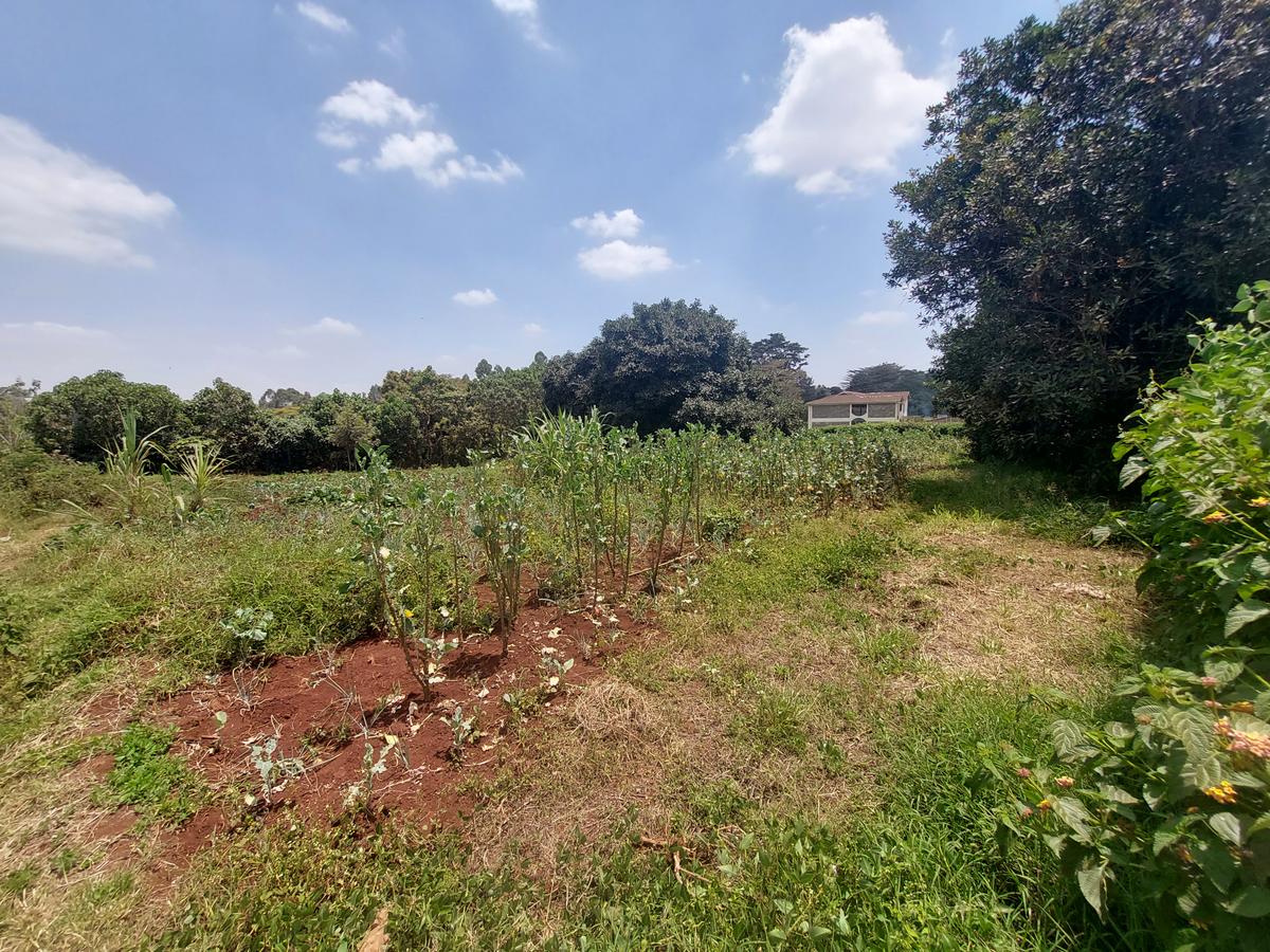 Residential Land at Kinanda Road - 4