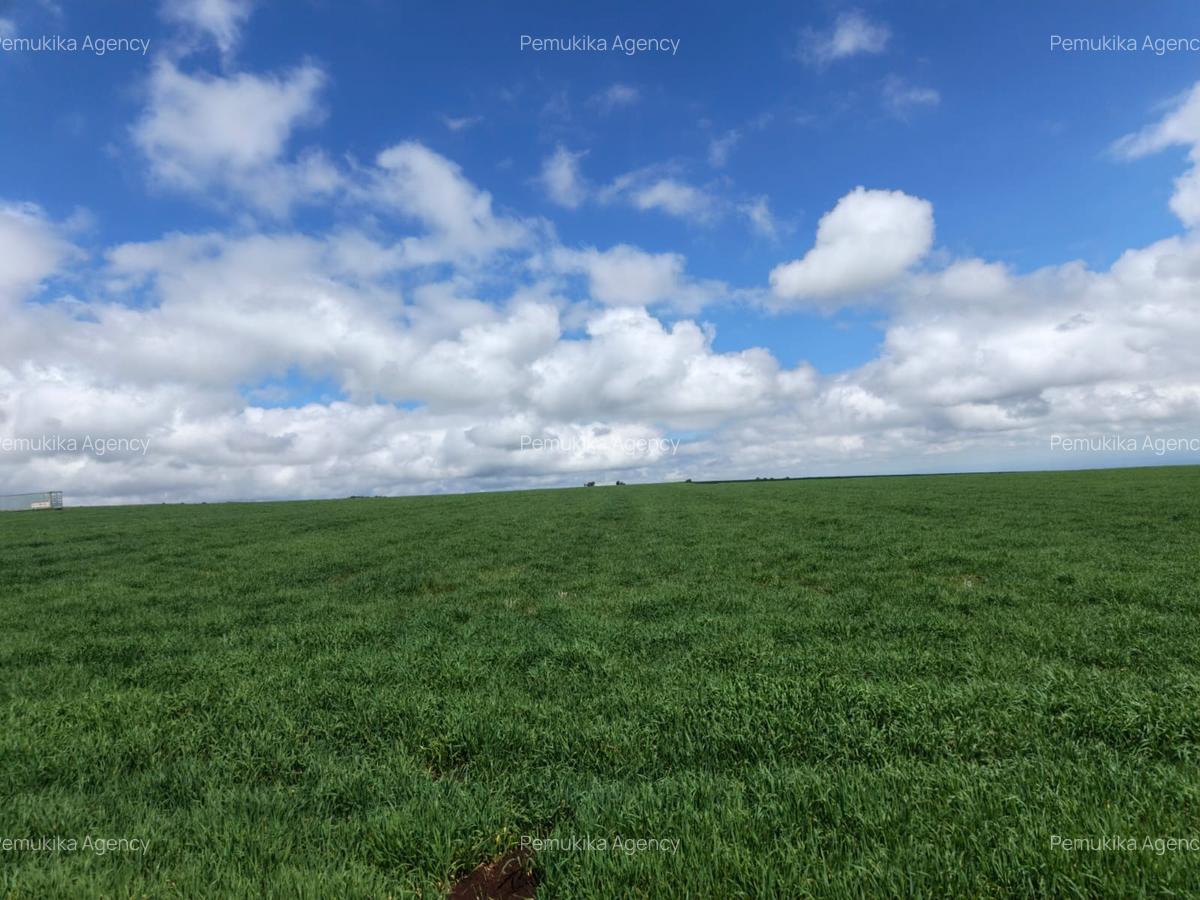 314 ac Land at Timau - 15