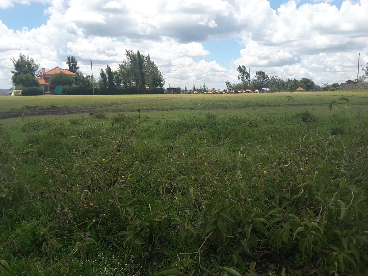 0.1 ha Residential Land in Ongata Rongai - 5