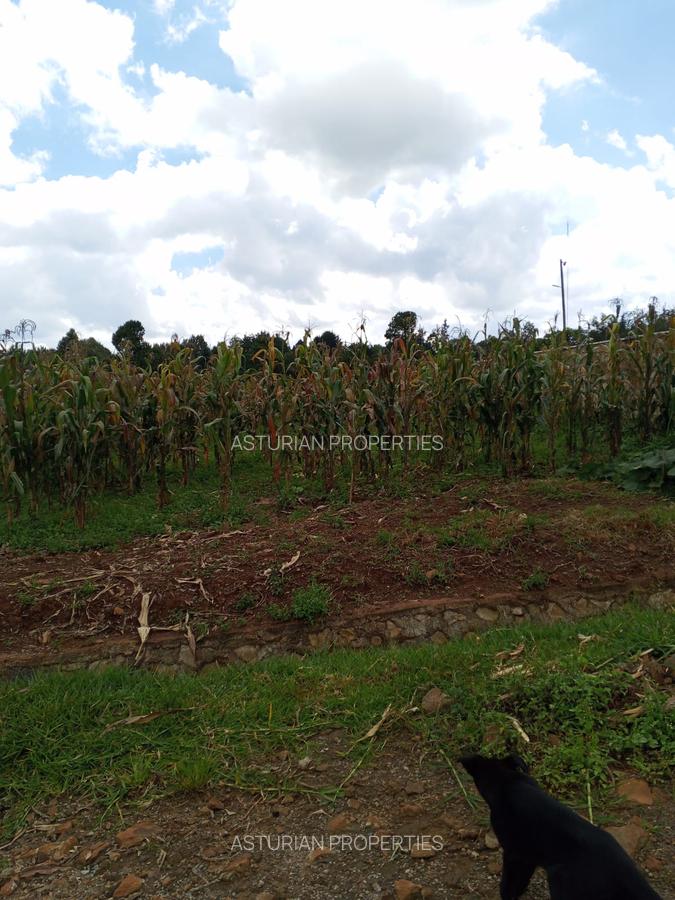 0.5 ac Land in Tigoni - 9