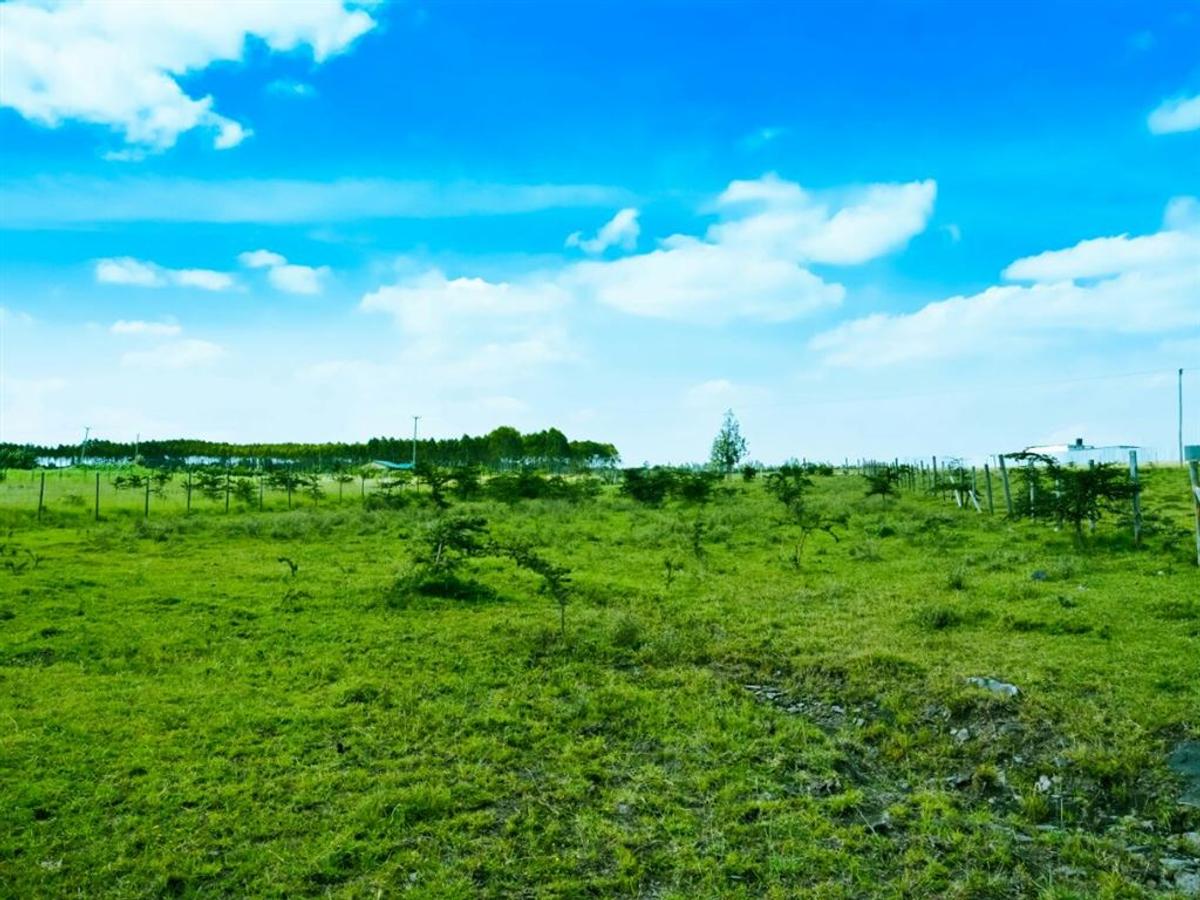 5,000 m² Residential Land at Tuala - 2