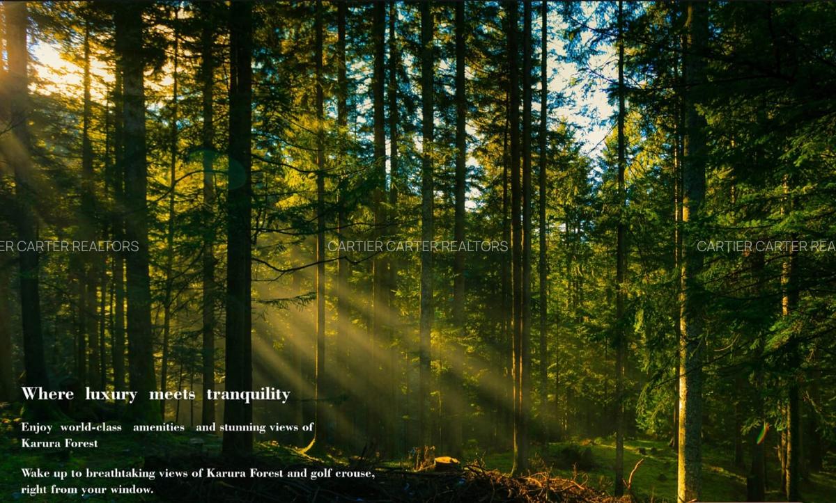 2 Bed Apartment with En Suite in Windsor - 5