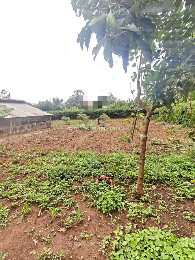0.5 ac Land in Thome - 3