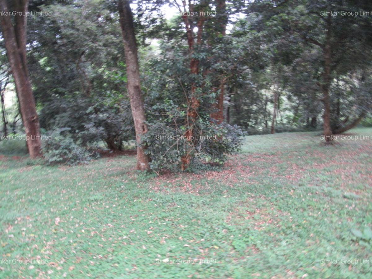 4 ac Land at Mushroom Gardens - 14