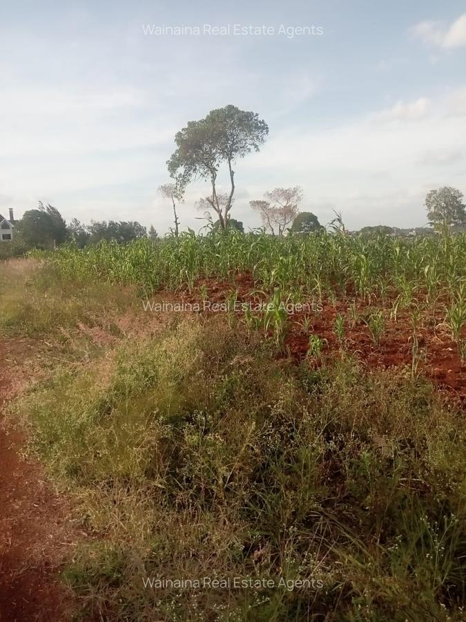 Land in Ruiru - 1