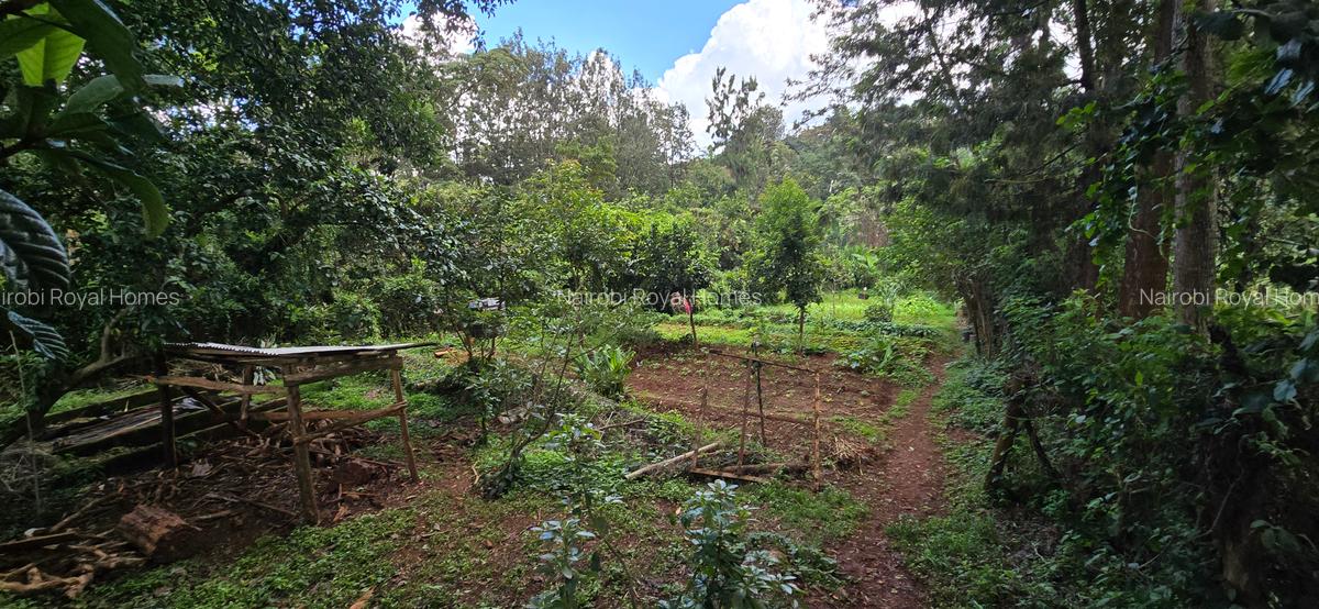 4 Bed House with En Suite at Loresho Road - 18