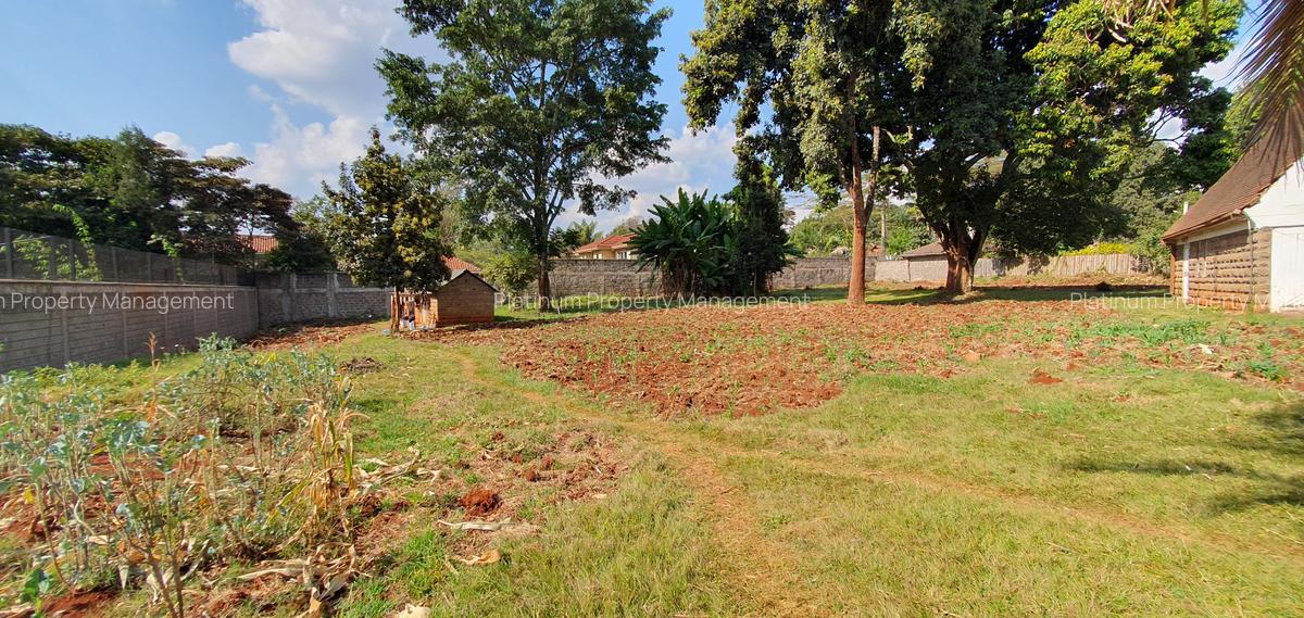 0.8 ac Commercial Property with Fibre Internet at Peponi Rd - 3