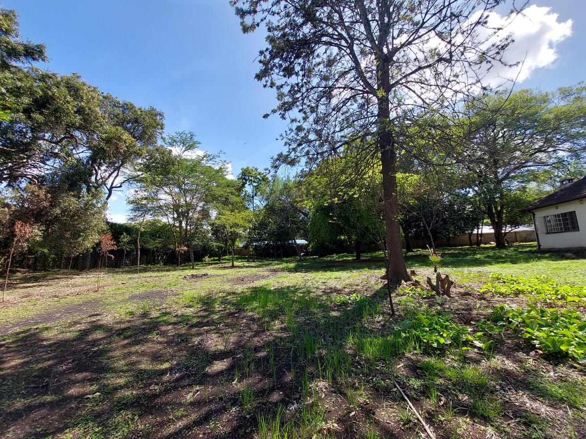 Residential Land at James Gichuru - 5