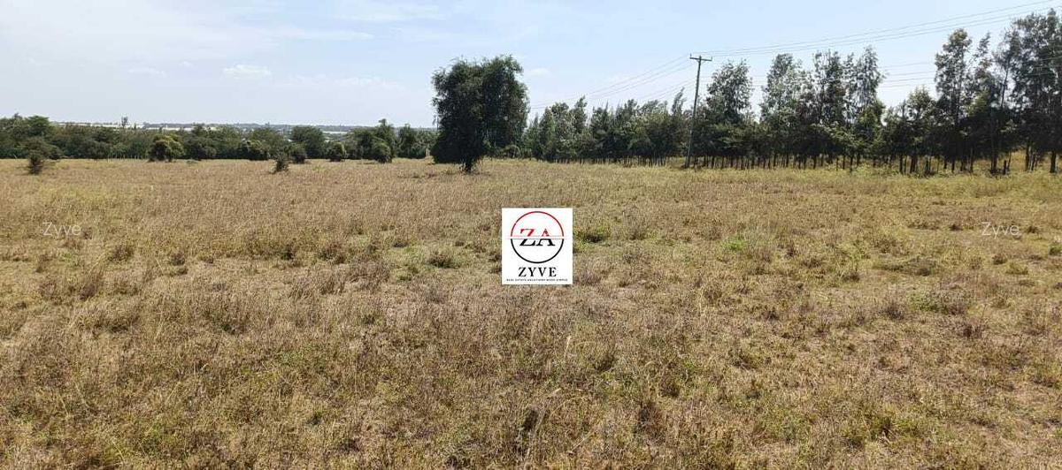 0.25 ac Land at Enkasiti - 12