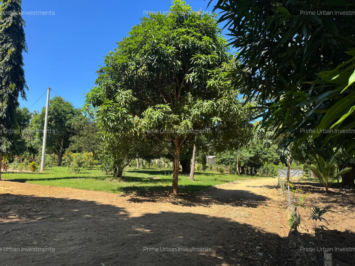 Land in Mtwapa - 7
