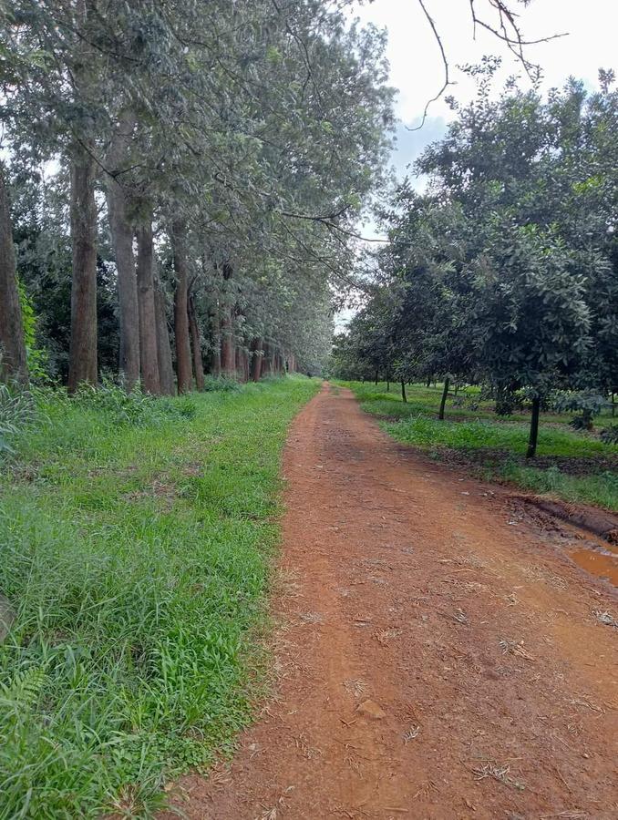 0.5 ac Residential Land at Gatanga Road - 9