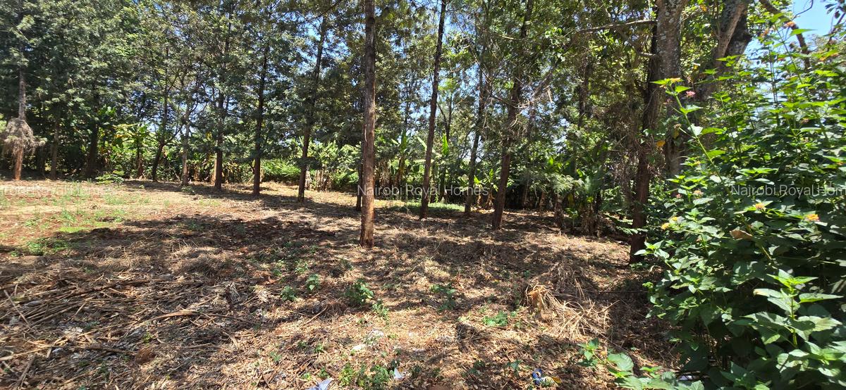 Residential Land at New Kitisuru - 7