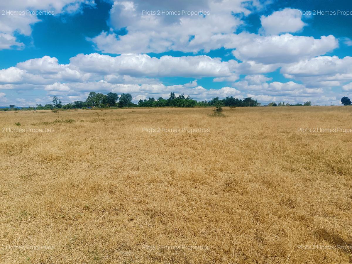 40 ac Land at Yukos - 4